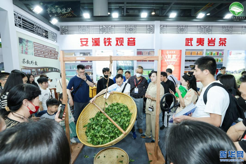 茶叶杀青机:传统工艺与现代科技的完美融合
